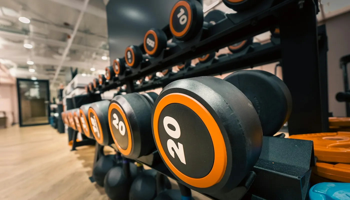 Mancuernas ordenadas en el rack de un gimnasio